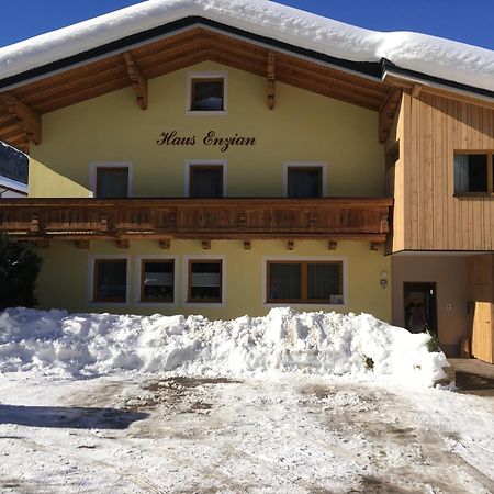 Appartement - Vollholz Studio Im Zentrum Von Flachau Esterno foto